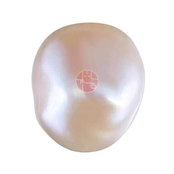 1-pearl-1024x1024