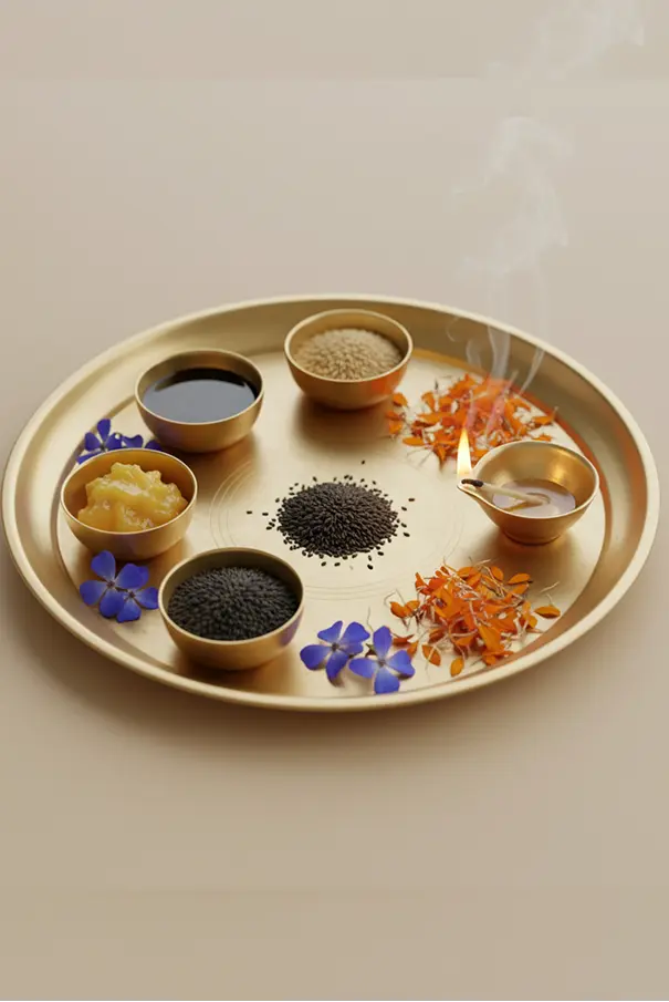 shani-dosha-shanti-puja-havan-english-5